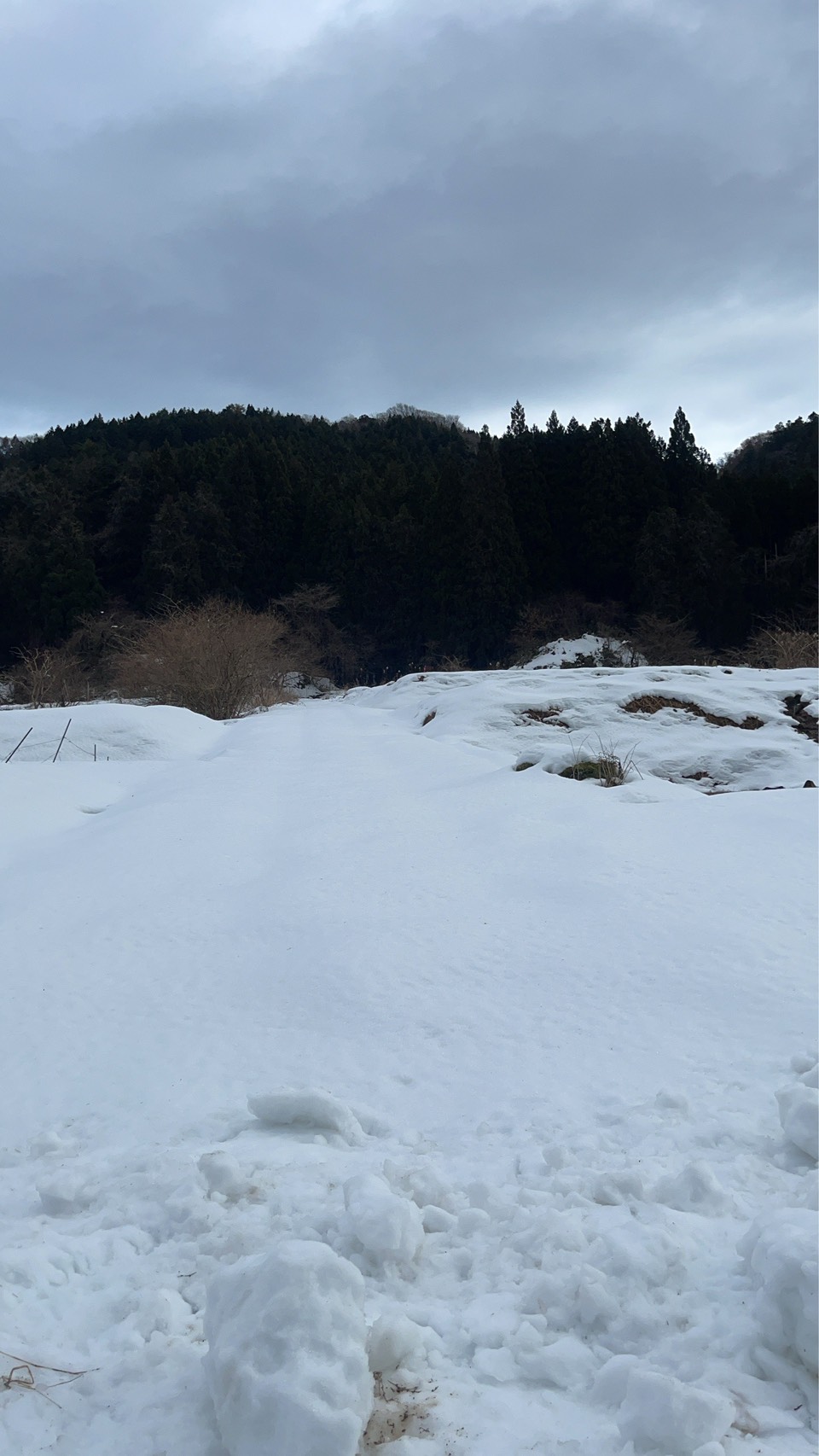 雪の能登